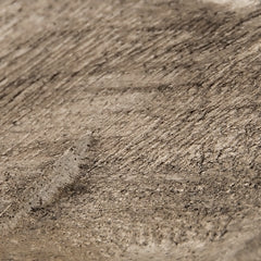 Dashburn Sculpture Signature Design by Ashley®