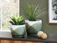 Ardenridge Planter Set (2/CN) Signature Design by Ashley®