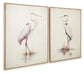 Aubinell Wall Art Set (2/CN) Signature Design by Ashley®