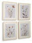 Chettings Wall Art Set (4/CN) Signature Design by Ashley®