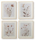 Chettings Wall Art Set (4/CN) Signature Design by Ashley®