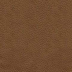 Saonara Chair Signature Design by Ashley®