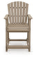 Seacliff Beach Barstool (2/CN) Signature Design by Ashley®