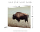 Brutus Wall Art Signature Design by Ashley®