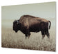 Brutus Wall Art Signature Design by Ashley®