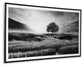 Deborland Wall Art Signature Design by Ashley®