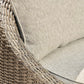 Danson Swivel Lounge w/Cushion (2/CN) Signature Design by Ashley®