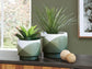 Ardenridge Planter Set (2/CN) Signature Design by Ashley®