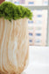 Cammen Vase Signature Design by Ashley®