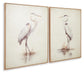 Aubinell Wall Art Set (2/CN) Signature Design by Ashley®