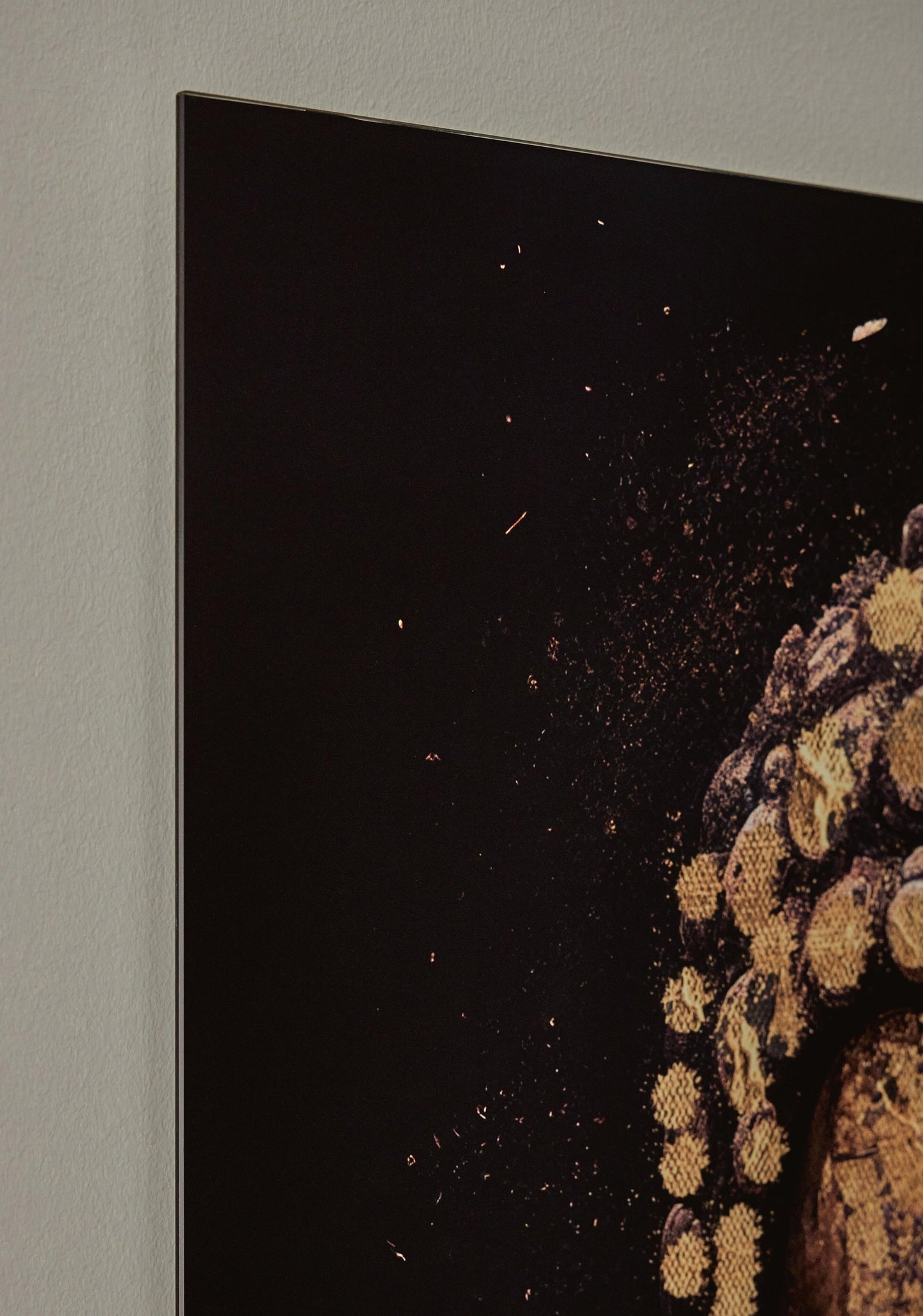 Caymoore Wall Art Signature Design by Ashley®