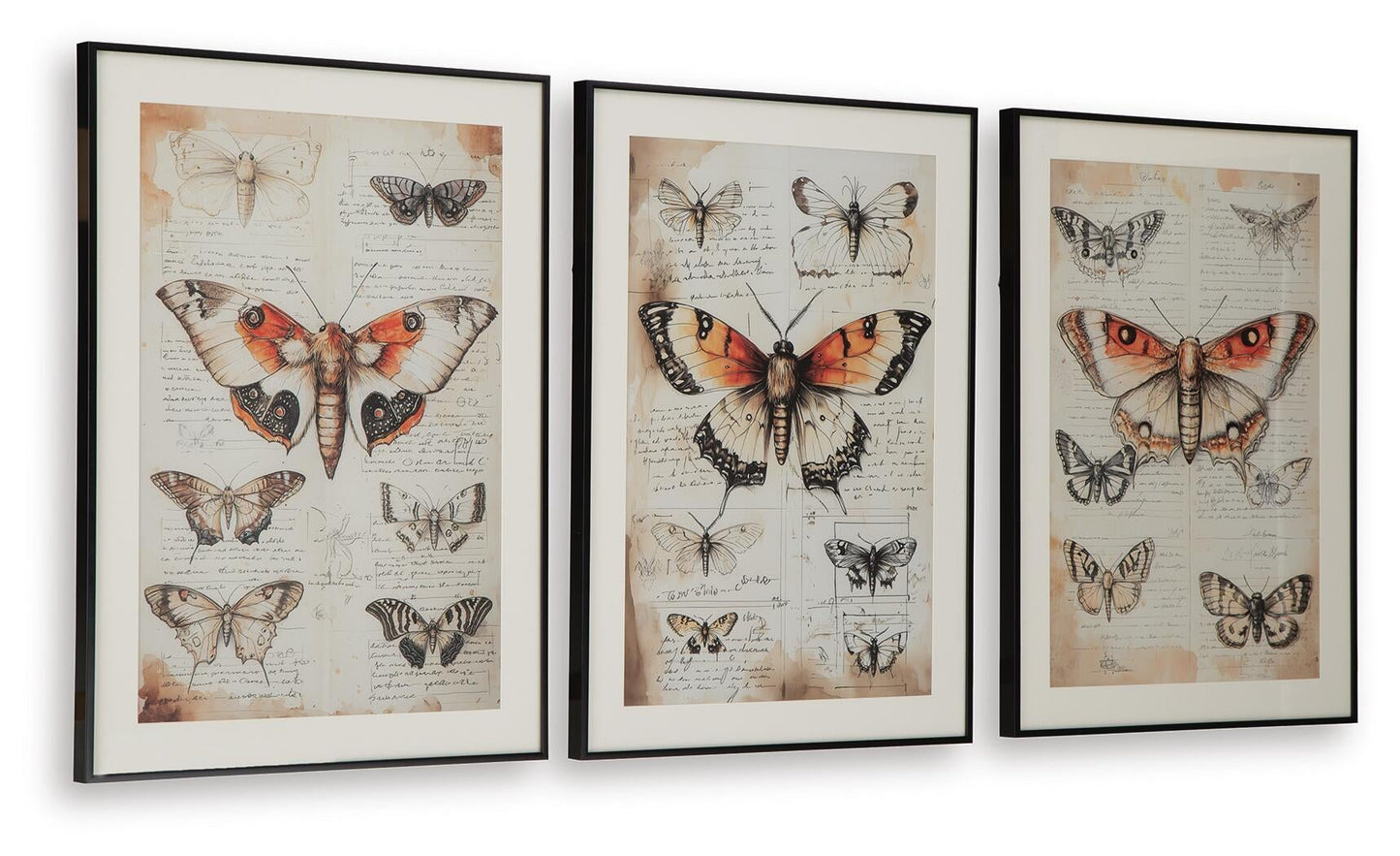 Jossletts Wall Art Set (3/CN) Signature Design by Ashley®