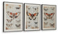 Jossletts Wall Art Set (3/CN) Signature Design by Ashley®