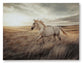 Errolville Wall Art Signature Design by Ashley®