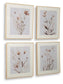 Chettings Wall Art Set (4/CN) Signature Design by Ashley®