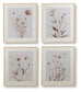 Chettings Wall Art Set (4/CN) Signature Design by Ashley®