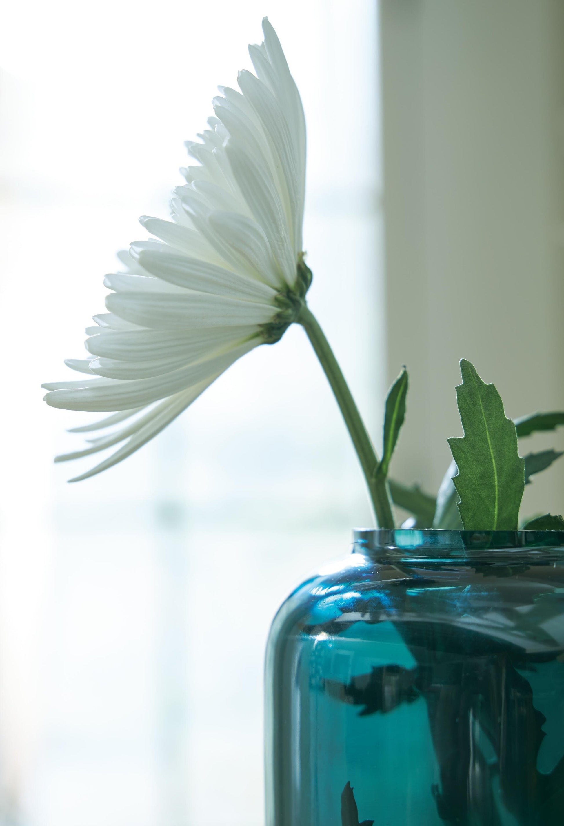 Inisland Vase Signature Design by Ashley®