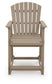 Seacliff Beach Barstool (2/CN) Signature Design by Ashley®