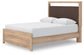Hollymount  Upholstered Platform Bed, Dresser, Mirror And Nightstand Signature Design by Ashley®