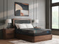 Millennium 2.0 Foam 12 Inch  Mattress Sierra Sleep® by Ashley