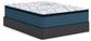 Limited Edition Plush Pt 3.0  Mattress Sierra Sleep® by Ashley