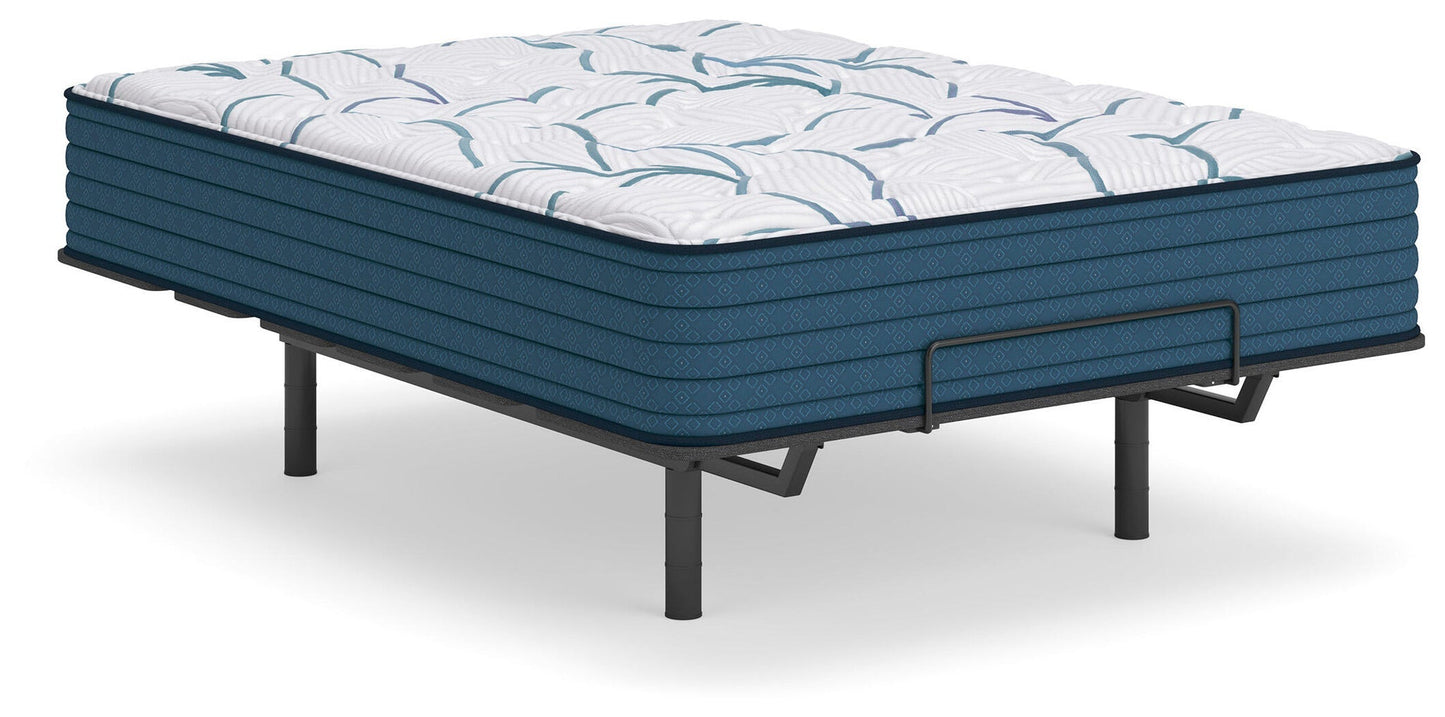 Limited Edition Plush 3.0  Mattress Sierra Sleep® by Ashley