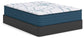 Limited Edition Plush 3.0  Mattress Sierra Sleep® by Ashley