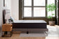 Anniversary Edition Firm  Mattress Ashley Sleep®
