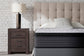 Anniversary Edition Pillowtop  Mattress Ashley Sleep®
