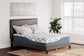 14 Inch Chime Elite 2.0 California  Mattress Sierra Sleep® by Ashley