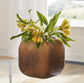 Capard I/O Vase Signature Design by Ashley®