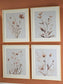 Chettings Wall Art Set (4/CN) Signature Design by Ashley®