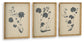 Huddwick Wall Art Set (3/CN) Signature Design by Ashley®
