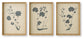 Huddwick Wall Art Set (3/CN) Signature Design by Ashley®