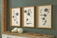 Huddwick Wall Art Set (3/CN) Signature Design by Ashley®