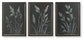 Janisburg Wall Art Set (3/CN) Signature Design by Ashley®