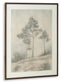 Fenngrove Wall Art Signature Design by Ashley®
