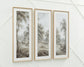 Dixonburg Wall Art Set (3/CN) Signature Design by Ashley®