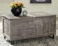 Coltport Storage Trunk Signature Design by Ashley®