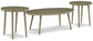 Swiss Valley Outdoor Coffee Table with 2 End Tables Signature Design by Ashley®